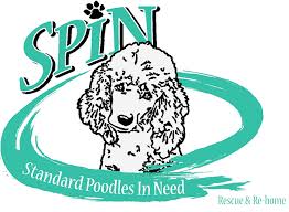 Standard Poodles In Need