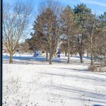 The Baird Team Home For Sale 27 Dalepark Drive Courtice - living room window overlooking park