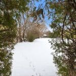 96 Beatrice Street West Oshawa House For Sale Backyard