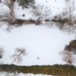 96 Beatrice Street West Oshawa House For Sale Backyard From Drone / Above