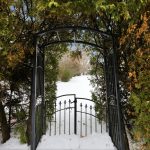 96 Beatrice Street West Oshawa House For Sale Backyard