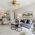 Living room with new carpet